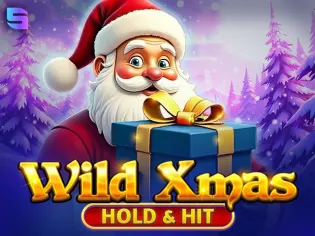 Wild Xmas – Hold & Hit thumbnail